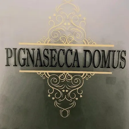 招待所 Pignasecca Domus 4*
