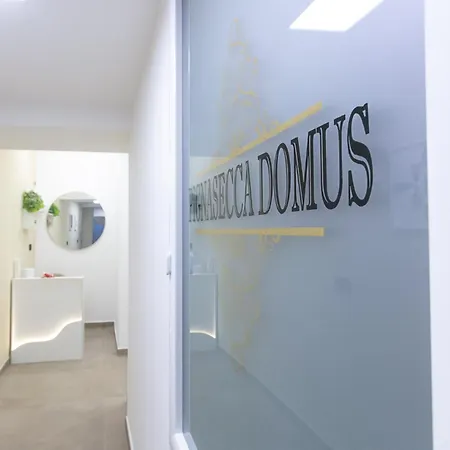 Pignasecca Domus Naples